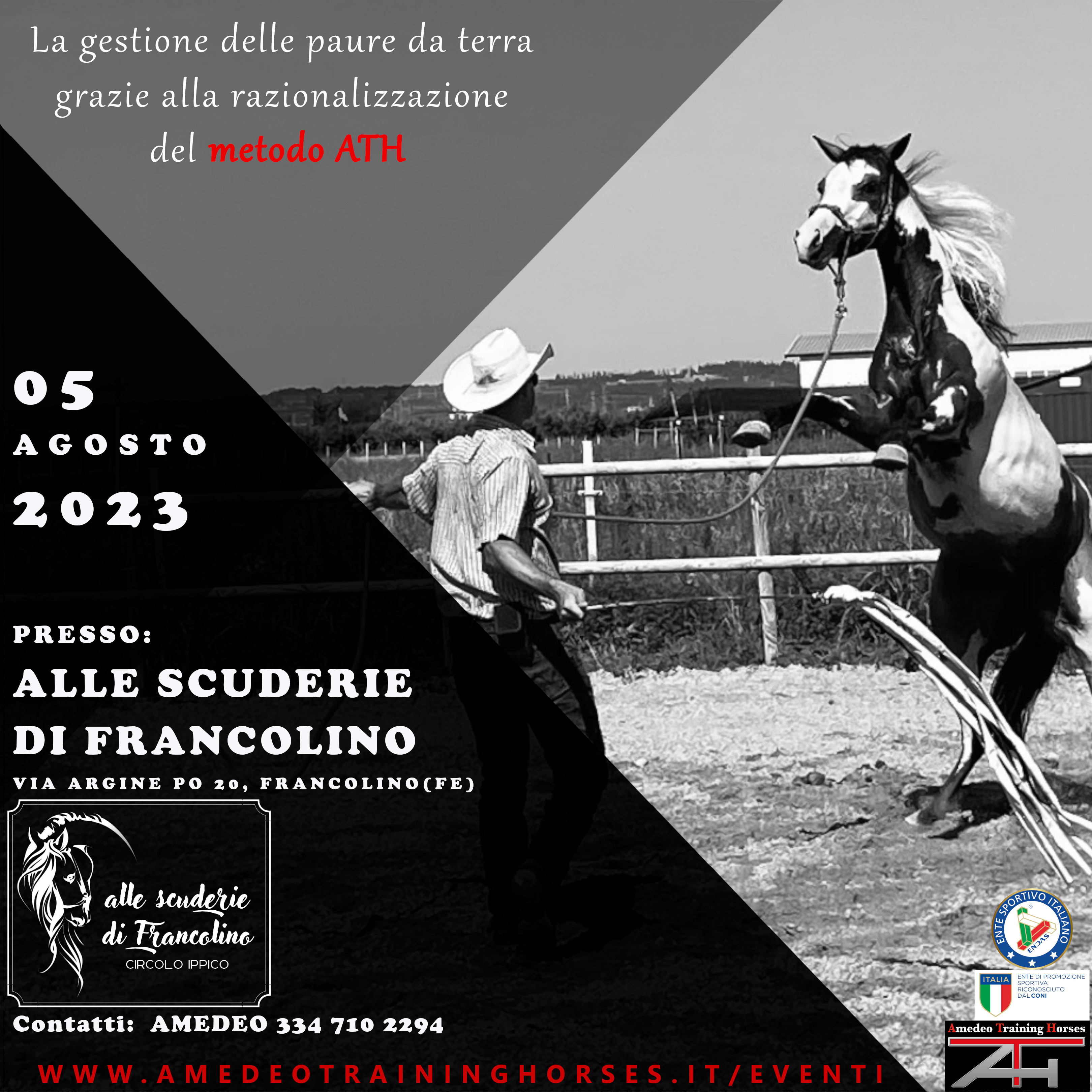 Capezza d'addestramento ATH – AmedeoTrainingHorses