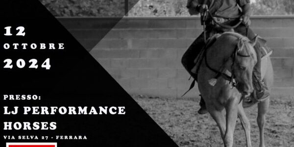 12.10.2024 – LJ PERFORMANCE HORSES